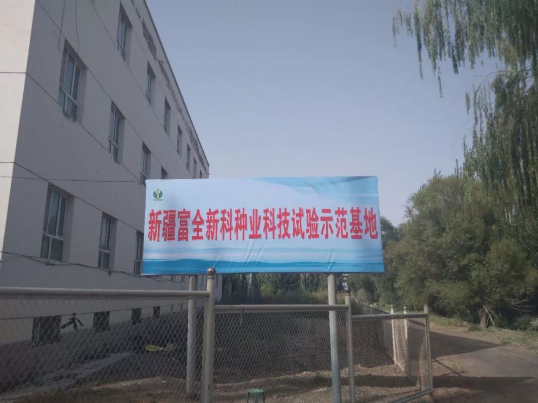 州領(lǐng)導及棉花專家蒞臨富全新科種業(yè)良繁基地觀摩指導工作